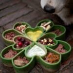 Shamrock slowfeeder groen