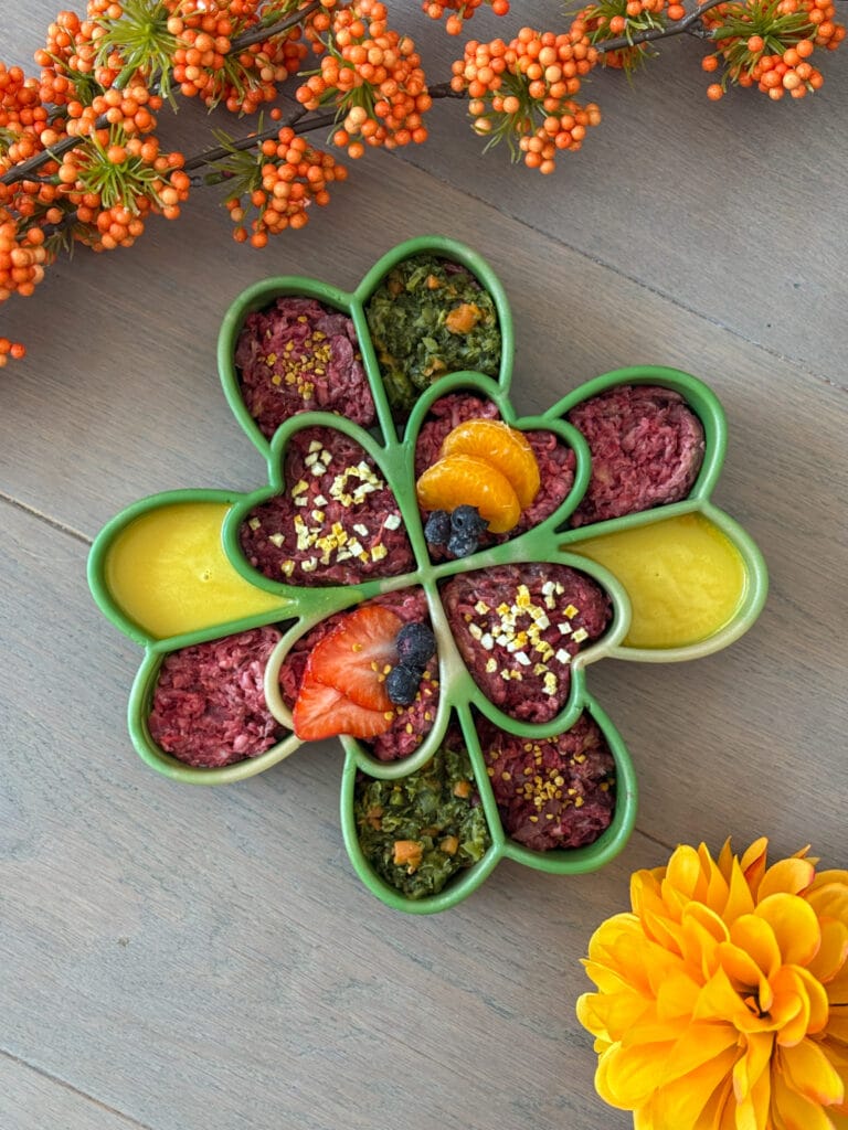 Groene shamrock slowfeeder voor honden, gevuld met natuurlijke ingrediënten zoals fruit, groente en hondenvoer – ideaal voor voedselverrijking, likmatgebruik en langzaam eten