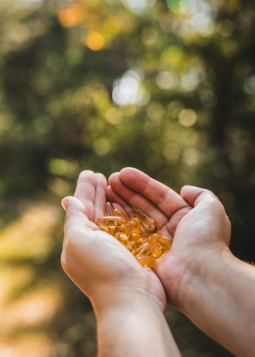 20250815-MerlijnArinaPhotography-VoerkrachtigWebsize-121